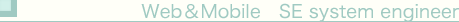 Web&Mobile SE system engineer
